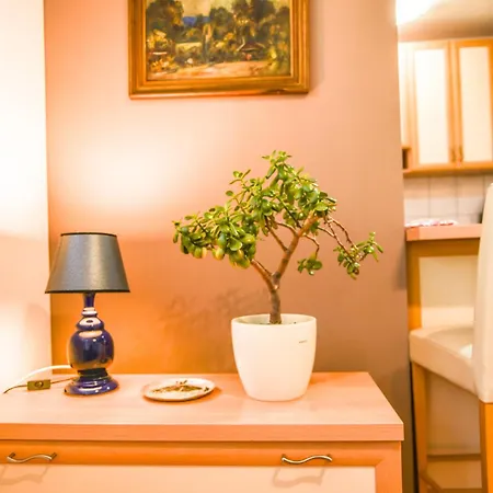 Visnjik Pines * 塞拉耶佛
