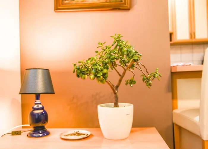 Visnjik Pines * Saraybosna